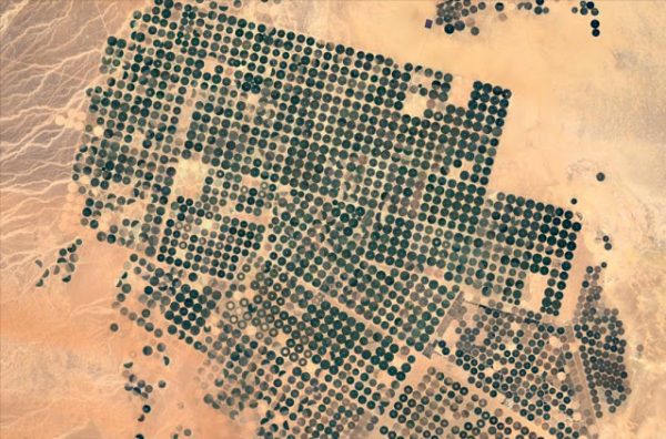 SearchResearch Challenge (8/4/16): How many center-pivot irrigation systems do you see?