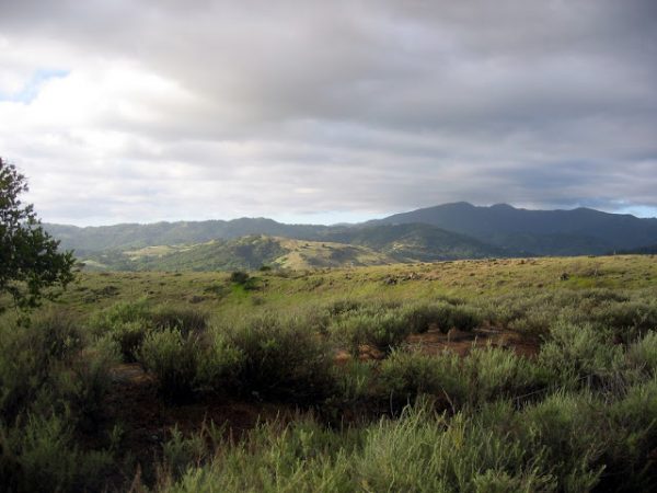 Answer: Digging into the past of long-vanished towns