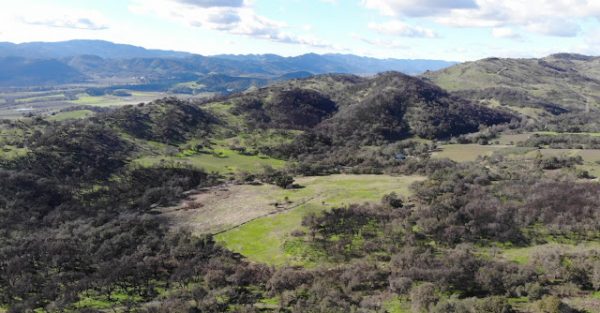 SearchResearch Challenge (2/13/19):  What’s the story… of these ruined buildings?