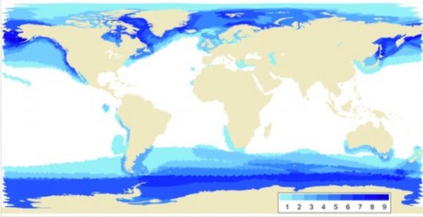 Answer: Are there seals in Tahiti?