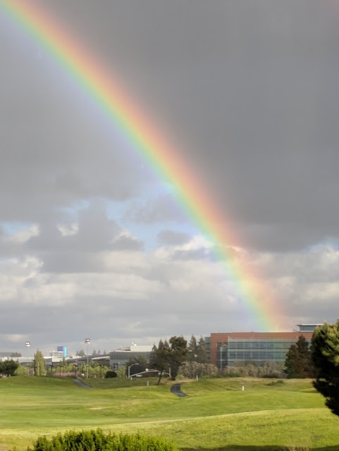 Answer: Mysterious rainbows and fossils in the floor?