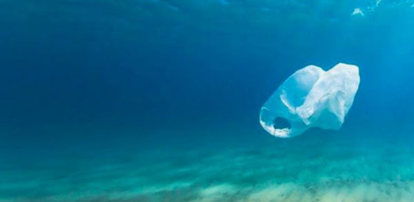 Answer: Does banning plastic bags actually help? How can you find out?