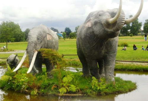 Answer: Gomphotheres.. in Panama?