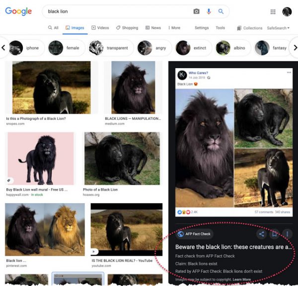 Fact check labels in search results