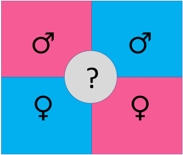 SearchResearch Challenge (2/24/21):  When did which colors signal gender?